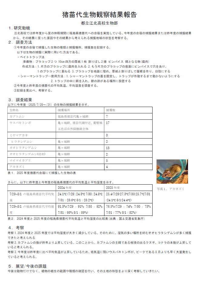 スクリーンショット 2025-11-17 113235